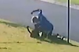 A CCTV still shows a man pulling his arm back to punch a dog on a Mackay street.