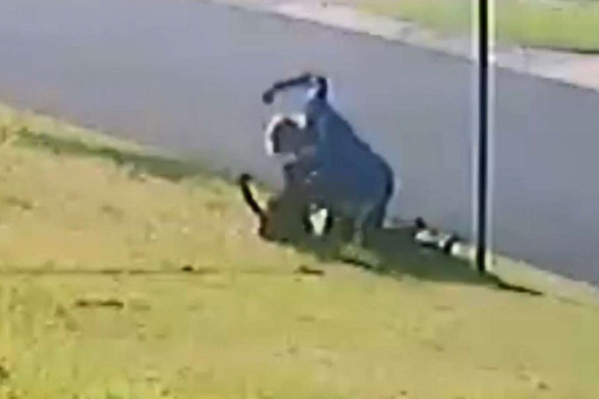 A CCTV still shows a man pulling his arm back to punch a dog on a Mackay street.