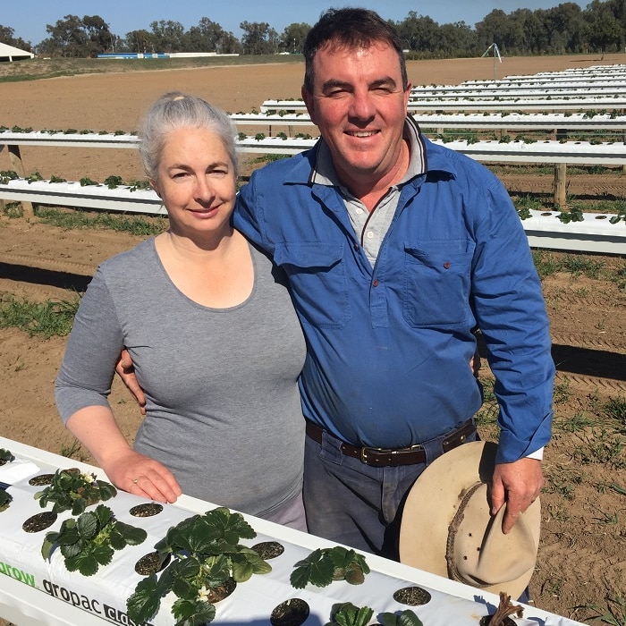 Growers Michael and Kylie Cashen from Bidgee Strawberries and Cream standing in their paddock with hydroponic rows behind.