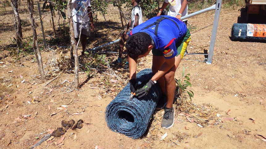 A Cairns student unrolling some fencing wire in Cooktown.