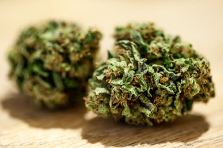 Marijuana buds lay on a table
