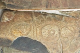 Tasmanian Aboriginal rock art