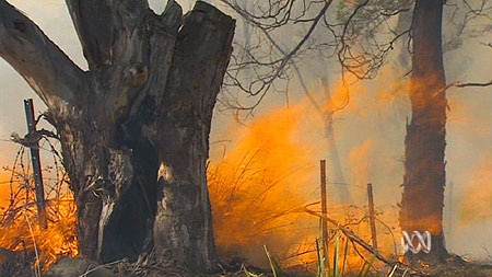 Scientists says the risk of fire danger is increasing.