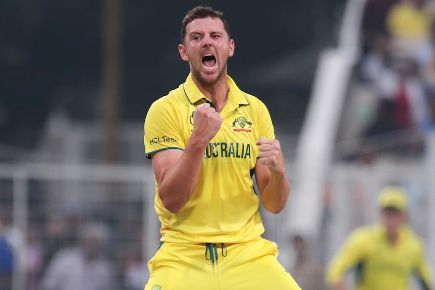 Australia cricketer Josh Hazlewood celebrates a wicket.