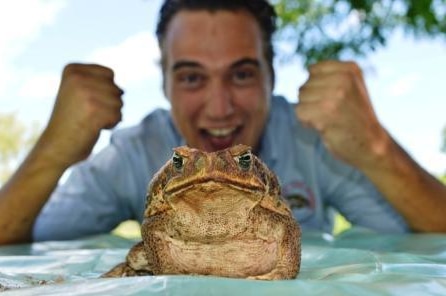 Jordy Groffen and his racing toad 'Katie' getting prepared for Australia Day cane toad racing at the local pub