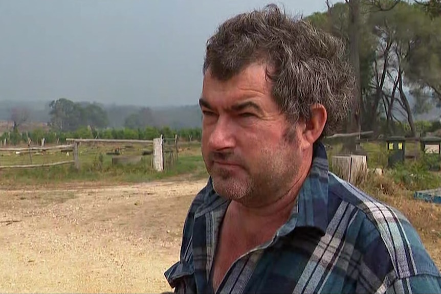 A man in a paddock.