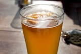 A pint of Lager, a type of German beer that is fermented and conditioned at low temperatures.