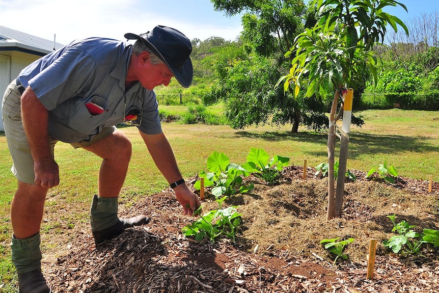 George Ernst from Tagai TAFE inspects one of his gardens