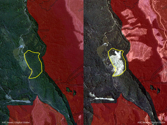 Before and after satellite images showing logging at Little Jacqui coupe in Rubicon Valley.
