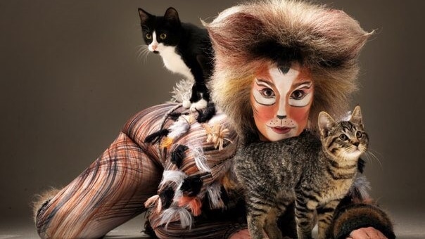 A woman dress in a cat costume with several cats
