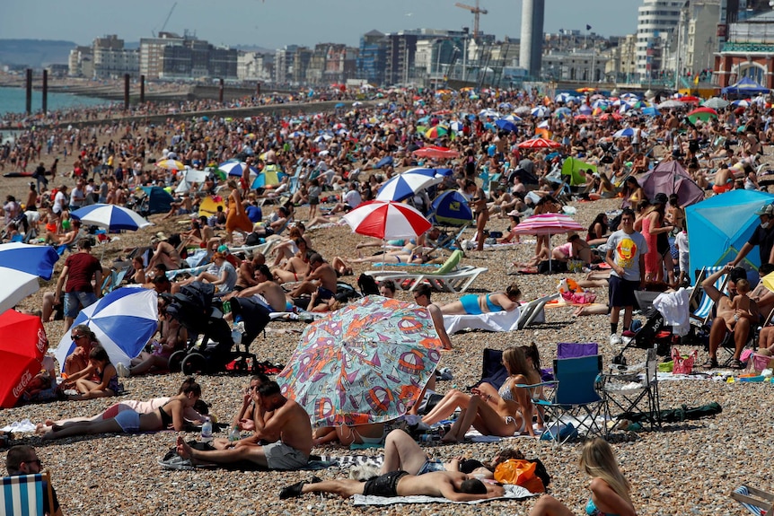A pebble beach in south England is adorned with sunbathers and umbrellas.