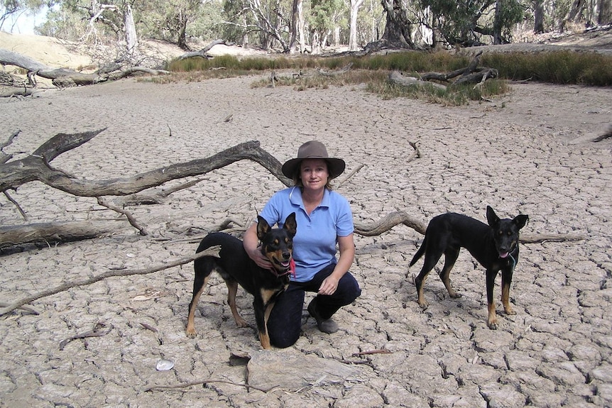 A woman squatting down with her dogs in a dry creek bed.