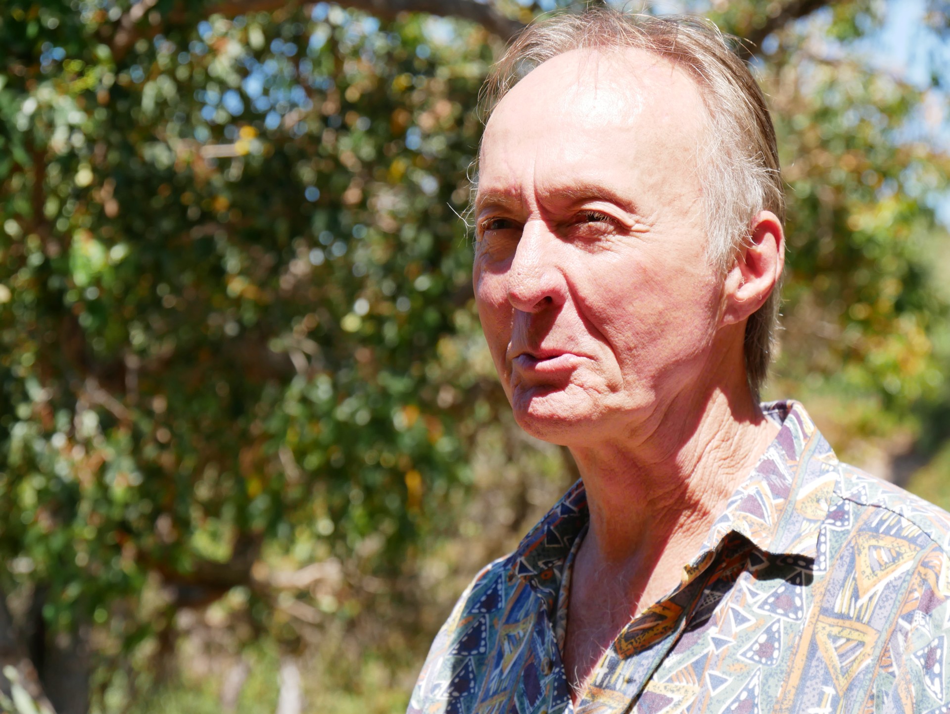 Um homem parado em frente às árvores e olhando para o lado.