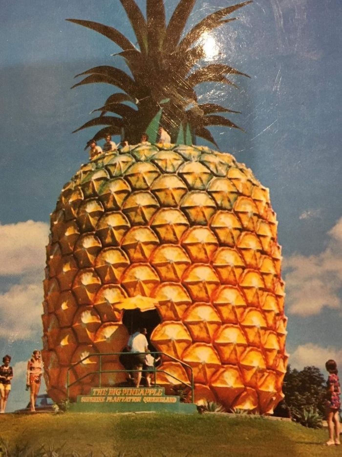 A huge pineapple structure with a door at the bottom and people looking in