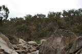 Eight years ago the Commonwealth, NSW and Victorian governments agreed to spend $375 million to improve the dwindling river's flow.