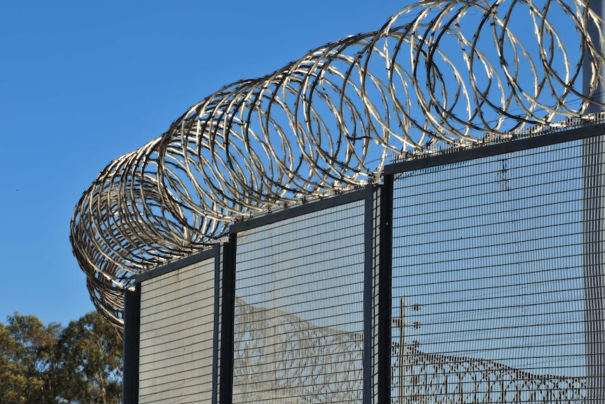 Razor wire along a prison fence.