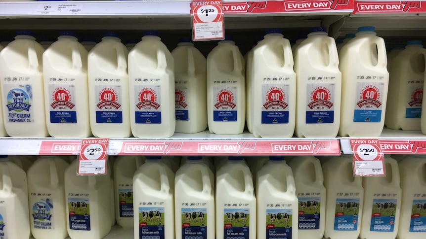 milk on shelves in the supermarket