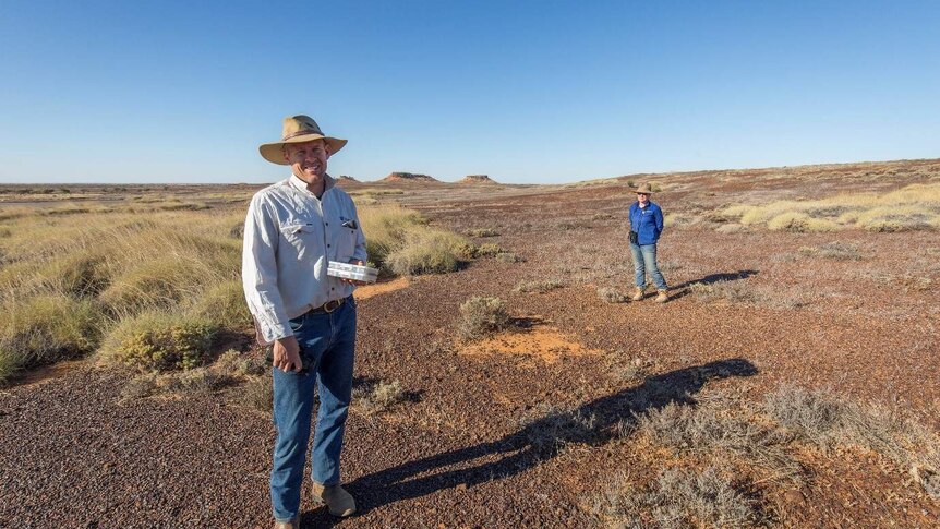 A man and a woman wearing broad-brimmed hats stand in a broad, arid plain with mesas on the horizon.