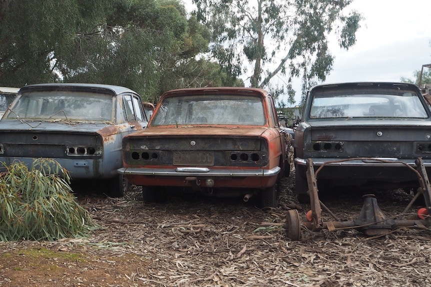 A trio of Triumph motorcars on Jon Blaikie's farm.
