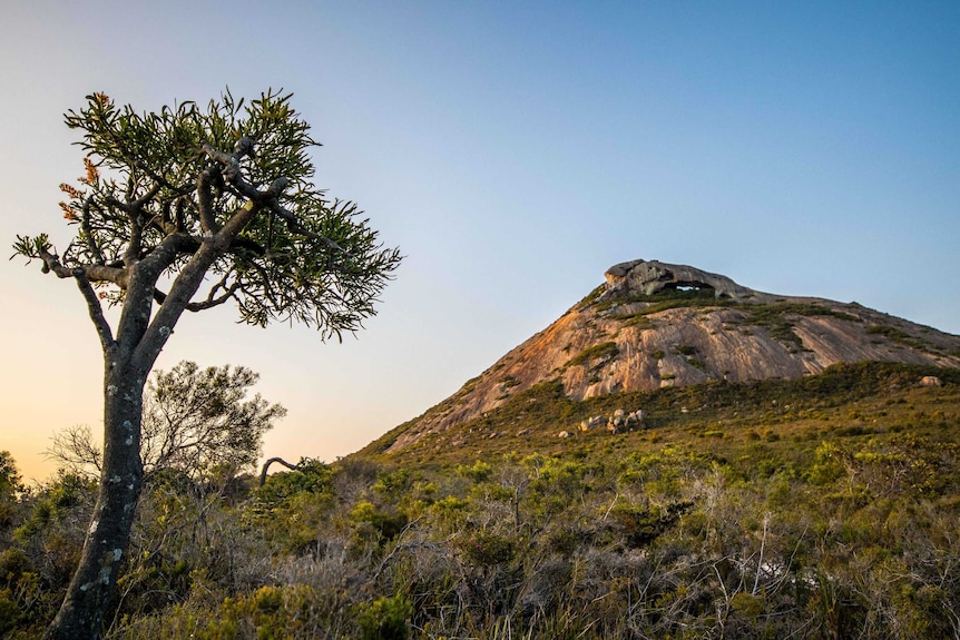 A mountain in a remote national park.