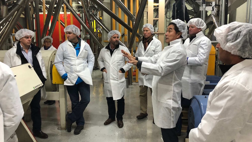 A group of farmers in protective clothing and hairnets in a factory