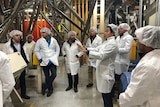 A group of farmers in protective clothing and hairnets in a factory
