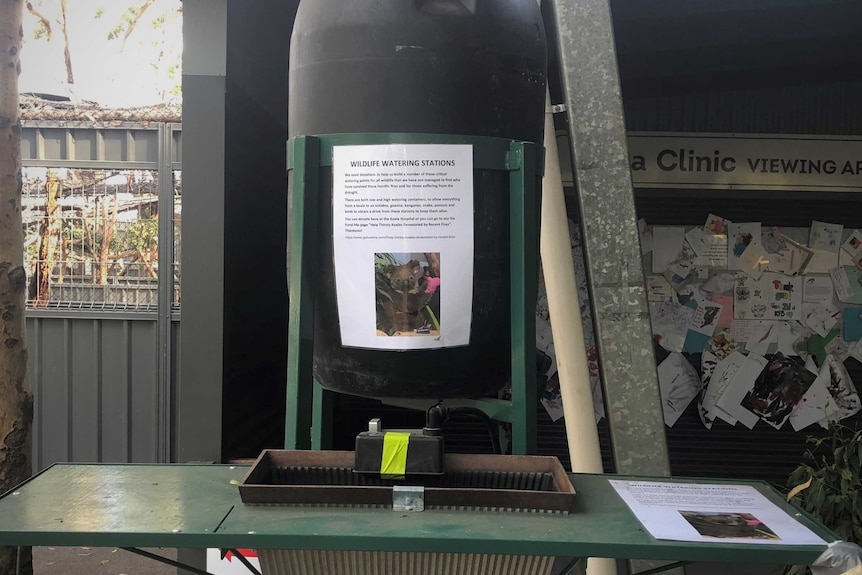 A metal wildlife water drinking station