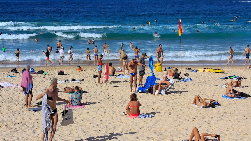 A large number of people go about their usual beach-going lives on Bondi Beach.