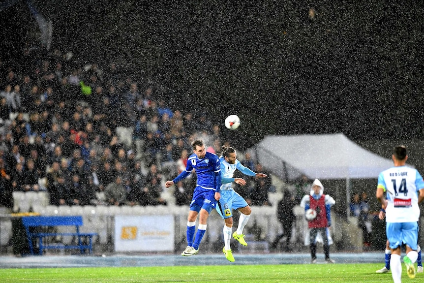 South Melbourne's Milos Lujic (centre L) and Sydney FC's Joshua Brillante in the FFA Cup semi-final.