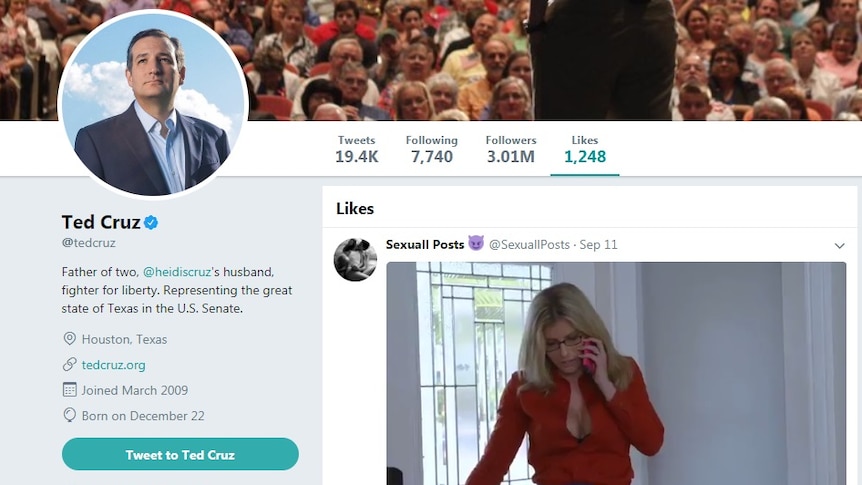 A screenshot of the post liked by Ted Cruz's official Twitter page.