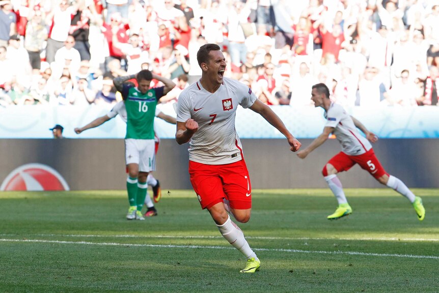 Arkadiusz Milik celebrates goal against Northern Ireland