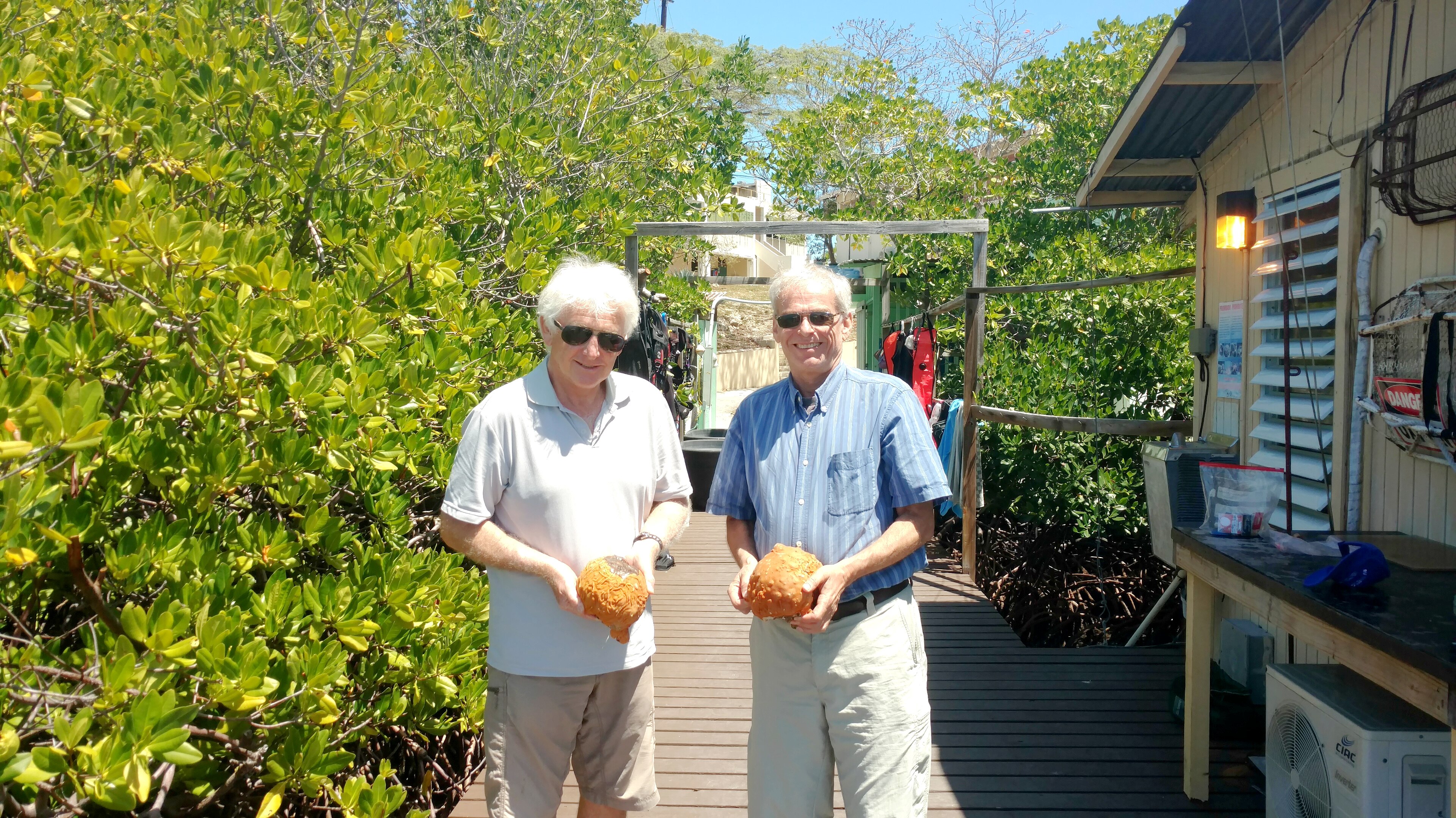 Two men standing on a wooden deck against coastal mangrove vegetation holding orange lumps