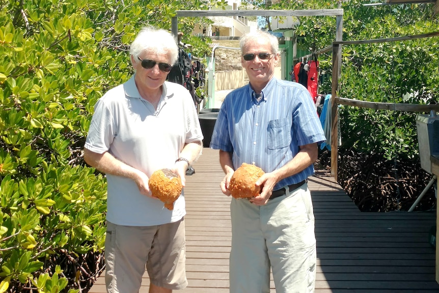 Two men standing on a wooden deck against coastal mangrove vegetation holding orange lumps