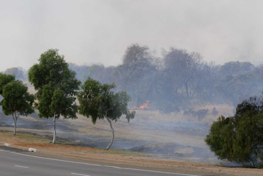 Smoke gathers as a a fire burns trees in scrubland adjacent to a road verge
