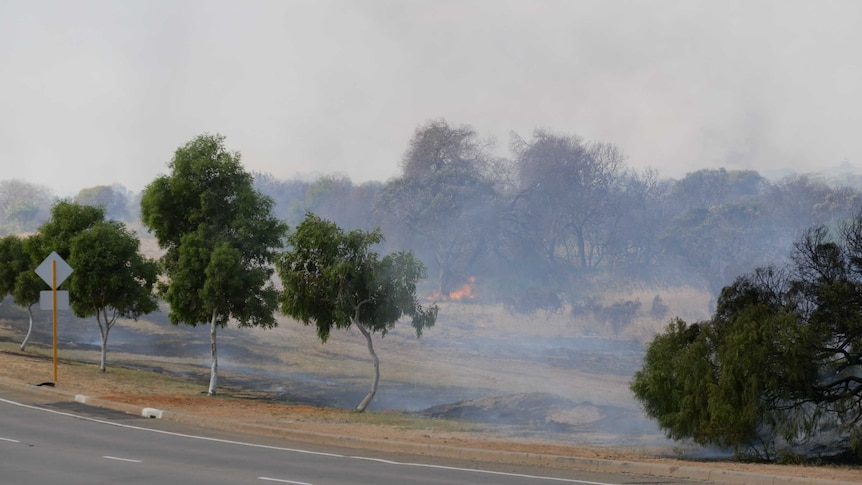 Smoke gathers as a a fire burns trees in scrubland adjacent to a road verge