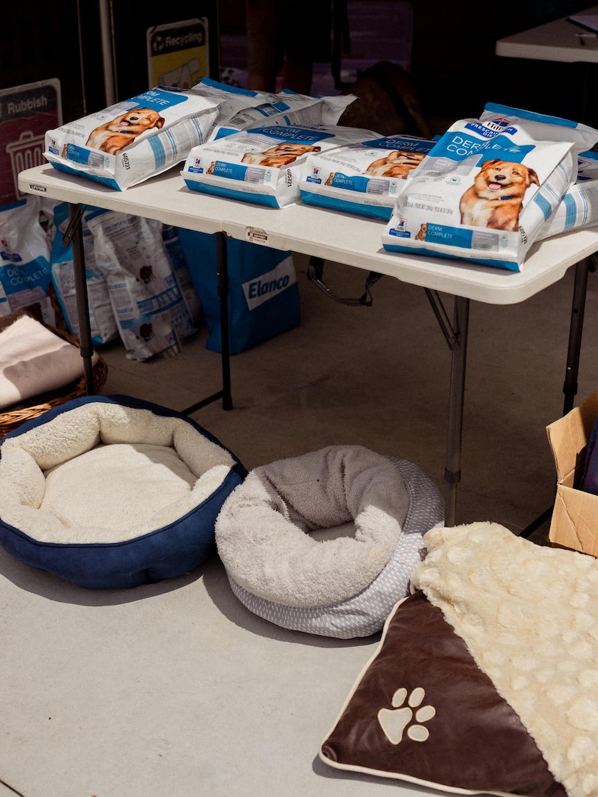 Dog beds and dog food are placed on the ground and on a foldout table