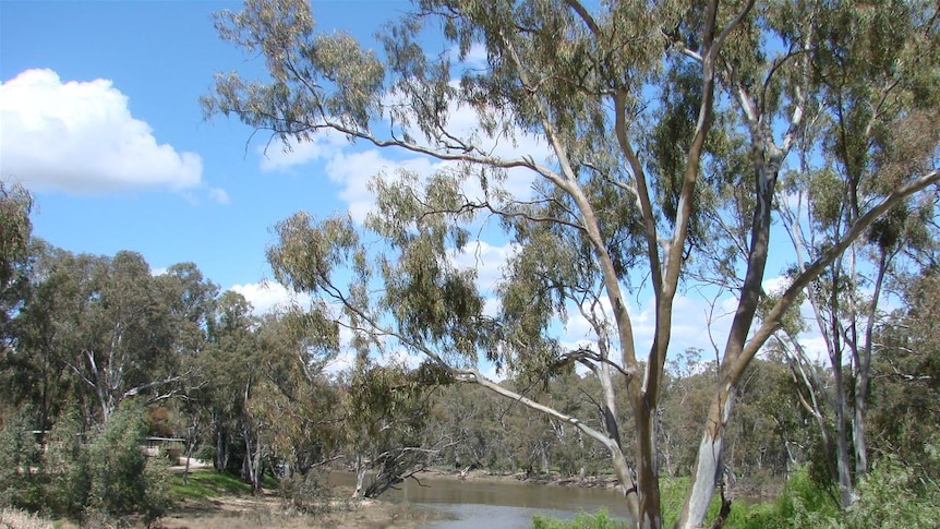 Edward River at Deniliquin