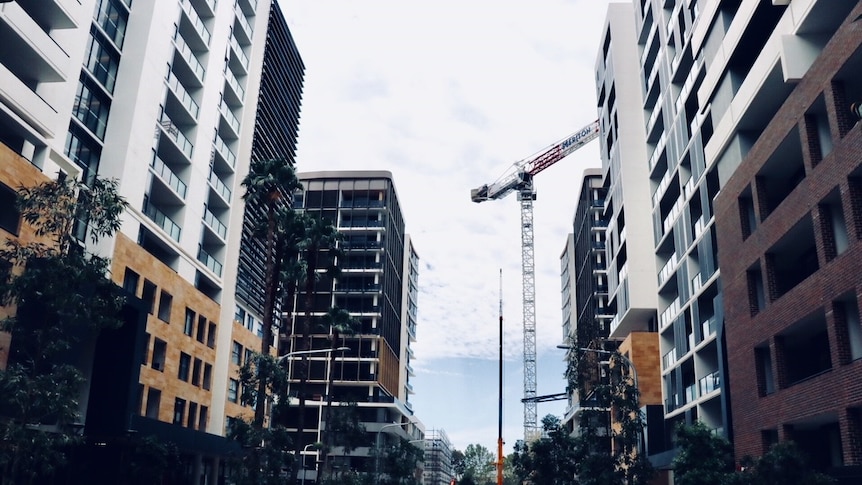 A street with rows of apartment developments on each side with cranes
