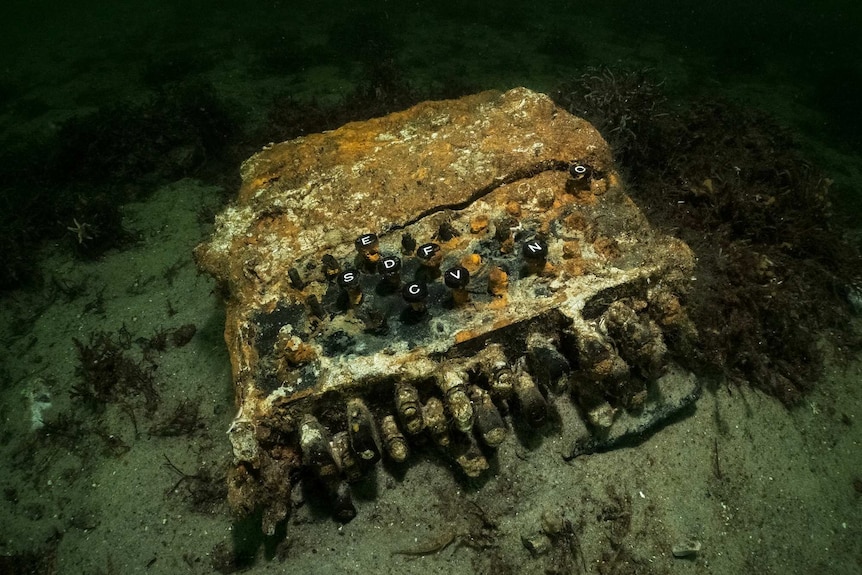 An enigma cipher machine laying on the seabed of Gelting Bay near Flensburg, Germany.