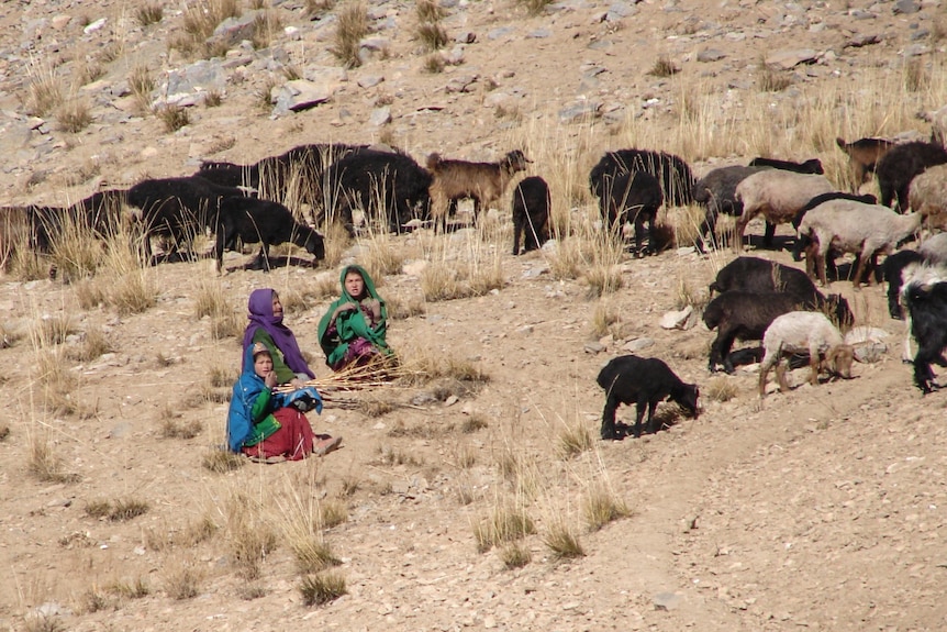 Women sit in a dry field next to a flock of sheep.