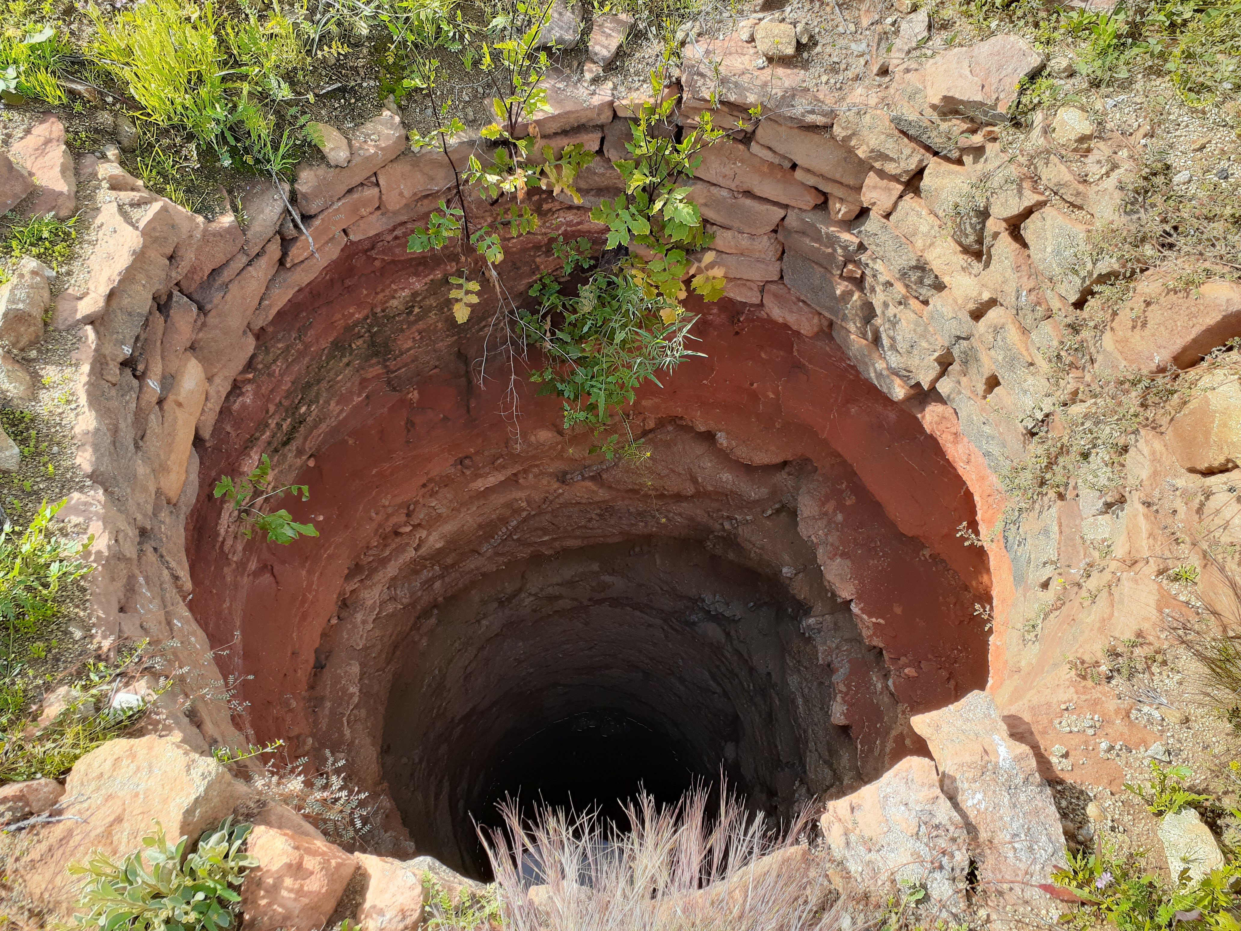 Green vegetation hangs down a round stone well. 