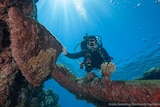 Dr James Hunter dives with an anchor from one of the wrecks at Kenn Reefs.