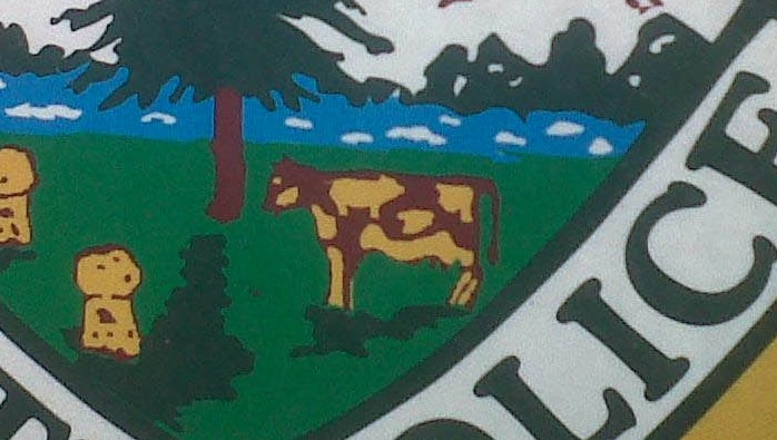 The pig can be seen painted onto the cow's shoulder.