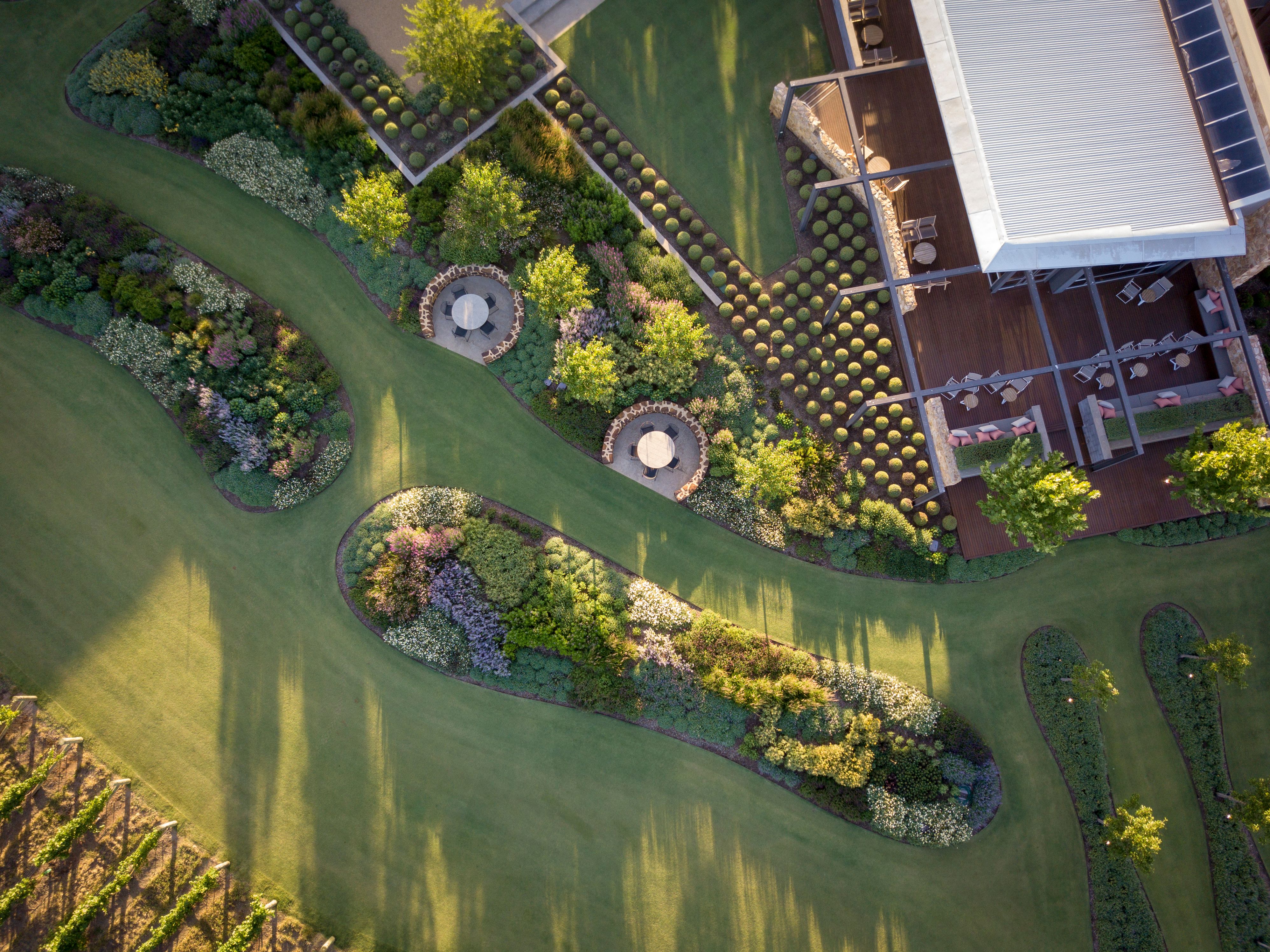 A drone shot of a formal garden belonging to a vineyard in the Barossa Valley reveals organic curves and fluid lines.