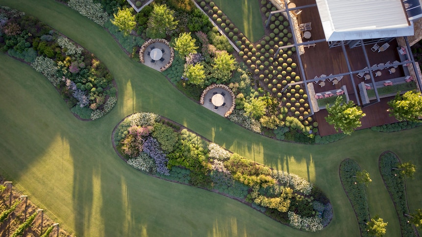 A drone shot of a formal garden belonging to a vineyard in the Barossa Valley reveals organic curves and fluid lines.