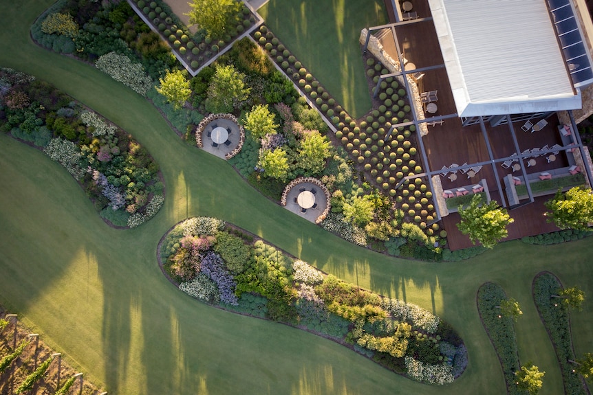 A drone shot of a formal garden belonging to a vineyard in the Barossa Valley reveals organic curves and fluid lines.