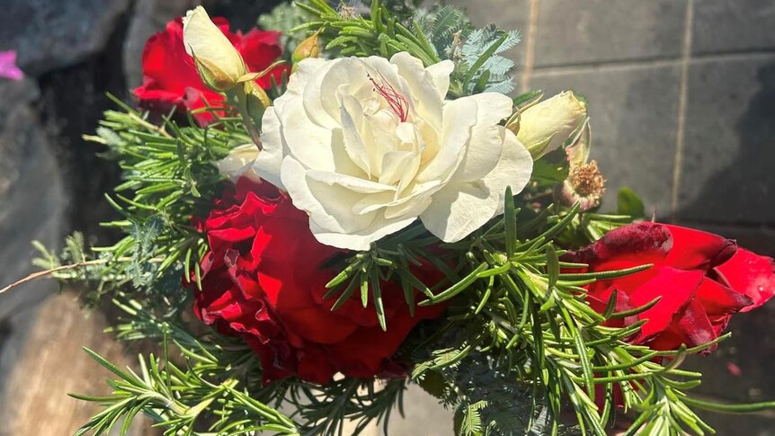 bouquet of white and red roses with forearm extending them outwards