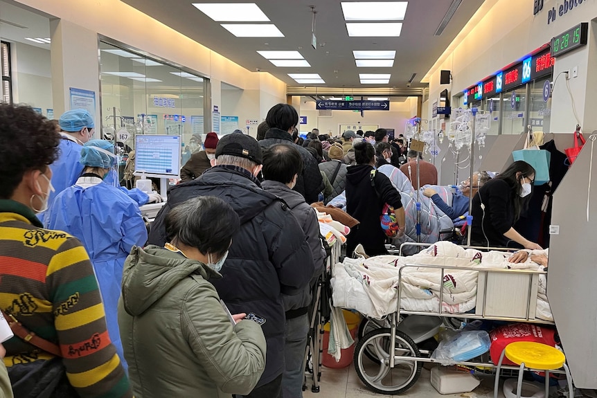 People crowd a hospital hallway. 