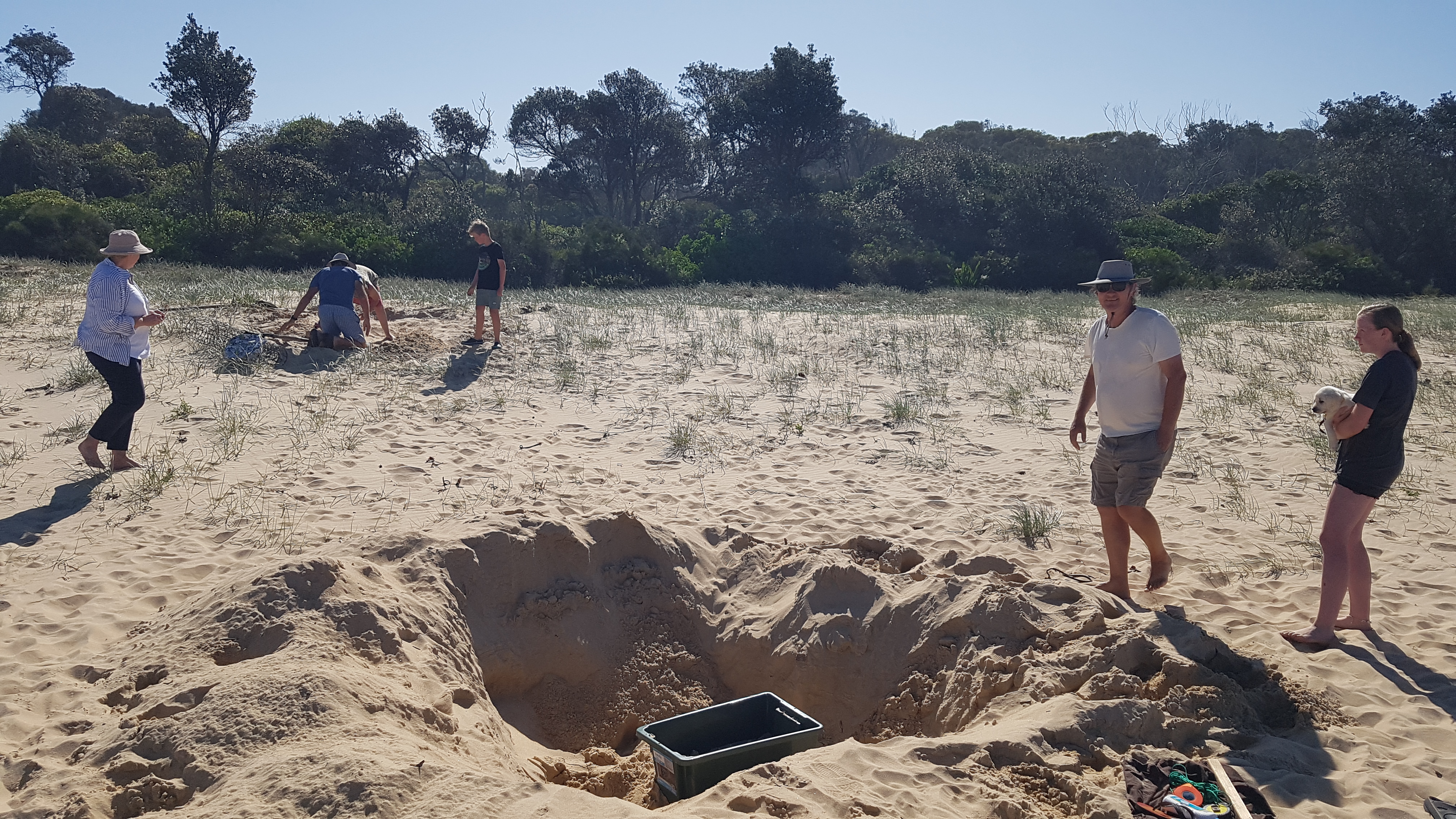 6 people surround a large hole in the sand, one woman holding a small dog, a large plastic tub in the centre of the hole 