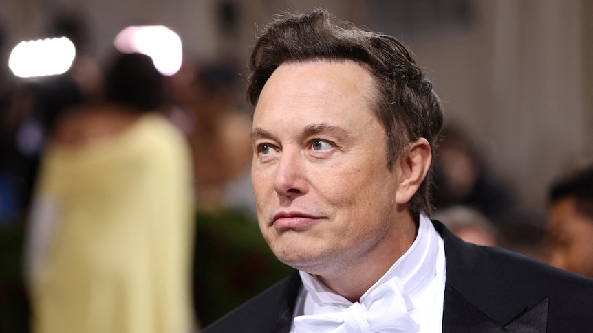 A close-up image of Elon Musk, wearing a dark suit with white shirt and white bow tie.